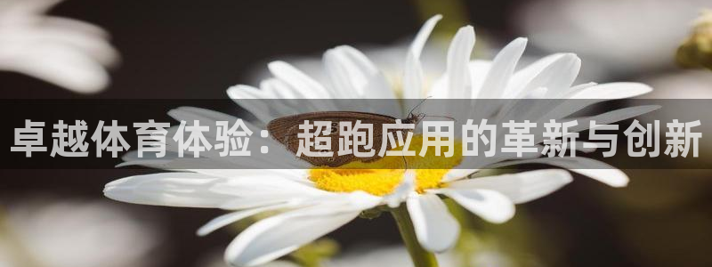 球王会体育：卓越体育体验：超跑应用的革新与创新