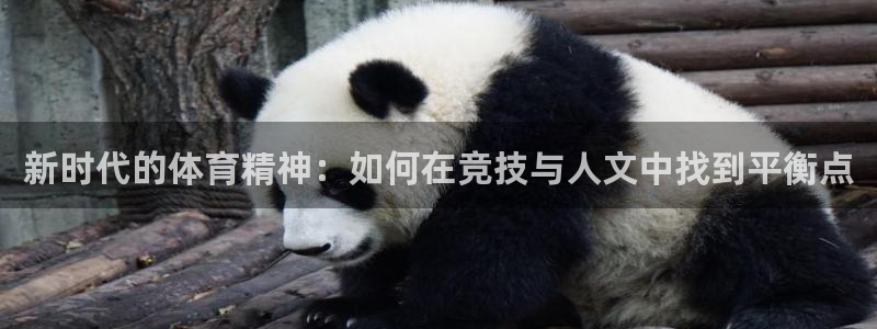 球王会体育：新时代的体育精神：如何在竞技与人文中找到平衡点