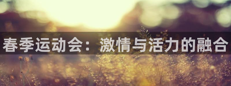 球王会体育：春季运动会：激情与活力的融合