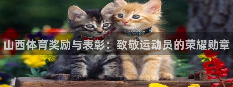 球王会体育：山西体育奖励与表彰：致敬运动员的荣耀勋章