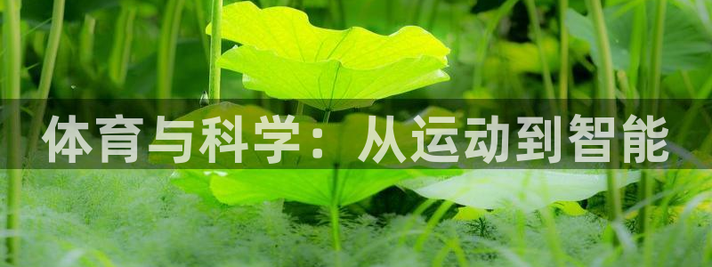 球王会体育：体育与科学：从运动到智能